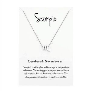 Scorpio Silver Zodiac Necklace ♏️